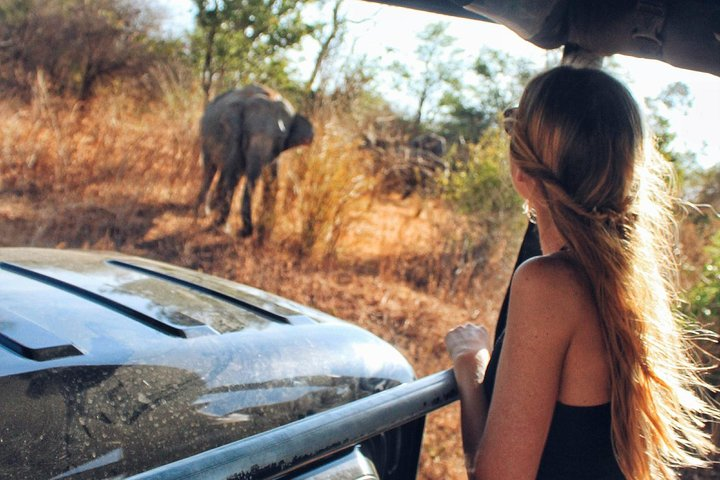 Day Excursions to Udawalawe from Bentota - Photo 1 of 7